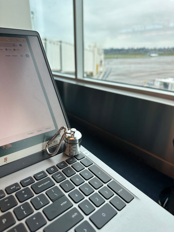 High Fidelity Earplugs Silver