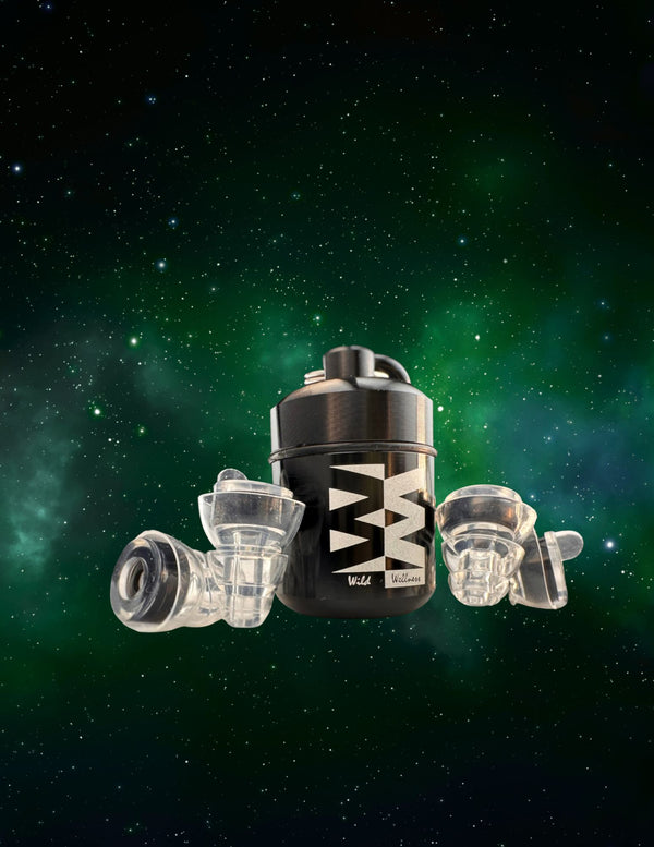 High Fidelity Earplugs Black